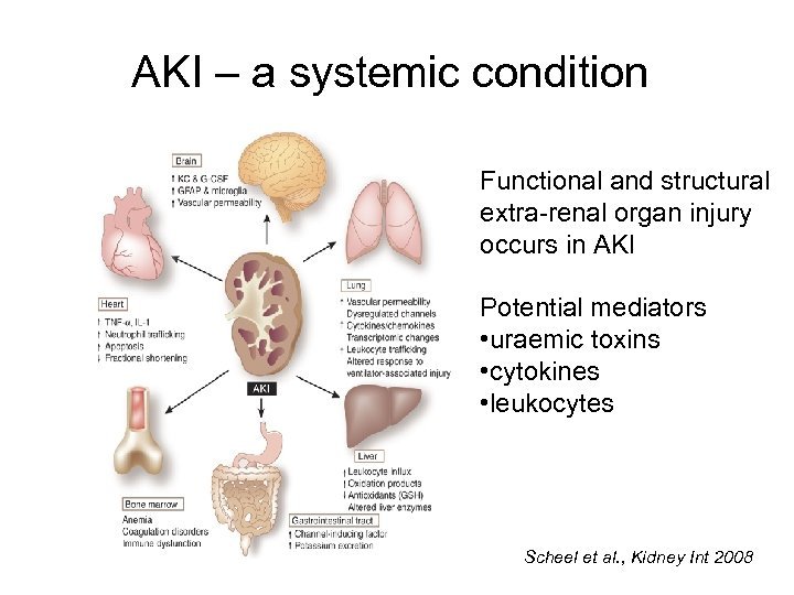 Aki Hayakawa in Gintamas Full Character Story Explained